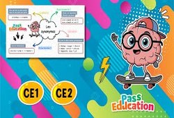 Vidéo Les synonymes - Carte mentale en vidéo : 2eme Primaire