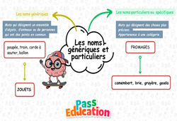 Carte mentale Les mots génériques et les mots particuliers - Carte mentale à co - construire : 3eme Primaire - PDF à imprimer
