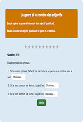 Genre et nombre adjectifs - Fiches Exercice en ligne  - Fiches Français - Orthographe - Étude de la langue : 2eme Primaire
