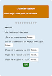 Pluriel en - x des noms - Fiches Exercice en ligne  - Fiches Français - Orthographe - Étude de la langue : 2eme Primaire