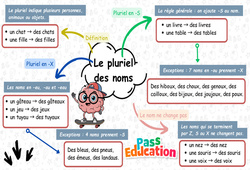 Carte mentale Le pluriel des noms - Carte mentale à co - construire : 3eme Primaire - PDF à imprimer
