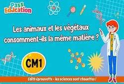 Les animaux et les végétaux consomment - ils la même matière&nbsp;? - Vidéo pédagogique - Edith Eprouvette : 4eme Primaire
