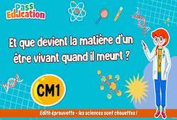 Et que devient la matière d’un être vivant quand il meurt&nbsp;? - Vidéo pédagogique - Edith Eprouvette : 4eme Primaire