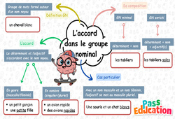 L'accord dans le groupe nominal - Carte mentale à co - construire : 2eme Primaire - PDF à imprimer