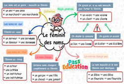 Carte mentale Le féminin des noms - Carte mentale à co - construire : 3eme Primaire - PDF à imprimer