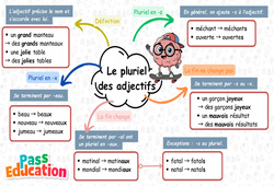Carte mentale Pluriel des adjectifs - Carte mentale à co - construire : 3eme Primaire - PDF à imprimer