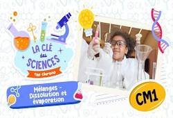 Mélanges - Dissolution et évaporation - Quiz - La Clé des Sciences : 4eme Primaire