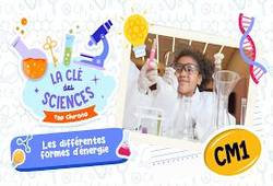 Leçon, exercice et évaluation :<br/> Les différentes formes d’énergie - Quiz - La Clé des Sciences : 4eme Primaire