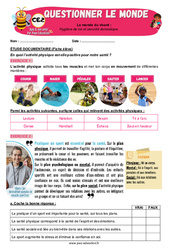 Hygiène de vie et sécurité domestique - Exercices - Apis & ses amis : 3eme Primaire - PDF à imprimer