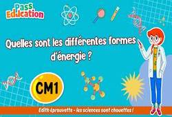 Quelles sont les différentes formes d’énergie&nbsp;? - Vidéo pédagogique - Edith Eprouvette : 4eme Primaire