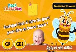 Pourquoi faut - il faire du sport pour être en bonne santé&nbsp;? - Vidéo - Apis & ses amis : 1ere, 3eme Primaire