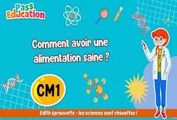 Vidéo Comment avoir une alimentation saine&nbsp;? - Vidéo - Edith Eprouvette : 4eme Primaire