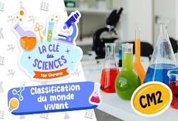 Classification du monde vivant - Quiz - La Clé des Sciences : 5eme Primaire