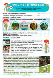Exercice Le cycle de vie des êtres vivants - Exercices - Edith Eprouvette : 4eme Primaire - PDF à imprimer