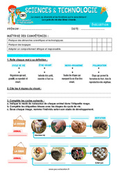 Examen Le cycle de vie des êtres vivants - Examen Evaluation - Edith Eprouvette : 4eme Primaire - PDF à imprimer
