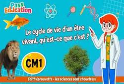 Vidéo Le cycle de vie d’un être vivant, qu’est - ce que c’est&nbsp;? - Vidéo - Edith Eprouvette : 4eme Primaire