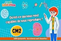 Vidéo Qu’est - ce qui nous rend capables de nous reproduire&nbsp;? - Vidéo - Edith Eprouvette : 5eme Primaire