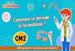 Vidéo Comment se déroule la fécondation&nbsp;? - Vidéo - Edith Eprouvette : 5eme Primaire