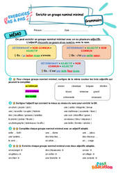 Leçon, exercice et évaluation :<br/> Enrichir un groupe nominal minimal - Exercices Pas à Pas : 3eme Primaire - PDF à imprimer