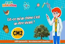 Vidéo Est - ce qu’un chêne c’est un être vivant&nbsp;? - Vidéo - Edith Eprouvette : 5eme Primaire