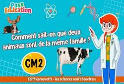 Vidéo Comment sait - on que deux animaux sont de la même famille&nbsp;? - Vidéo - Edith Eprouvette : 5eme Primaire