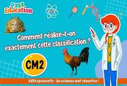 Vidéo Comment réalise - t - on exactement cette classification&nbsp;? - Vidéo - Edith Eprouvette : 5eme Primaire