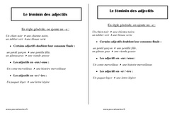 Féminin des adjectifs - Cours, Leçon : 2eme Primaire - PDF gratuit à imprimer