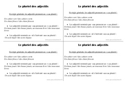 Pluriel des adjectifs - Cours, Leçon : 2eme Primaire - PDF gratuit à imprimer