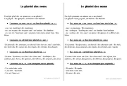 Pluriel des noms - Cours, Leçon : 2eme Primaire - PDF gratuit à imprimer