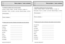 Noms propres - Noms communs - Exercices - Comment les distinguer : 2eme Primaire - PDF à imprimer