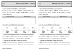 Distinguer les noms propres des noms communs - Exercices : 2eme Primaire - PDF à imprimer
