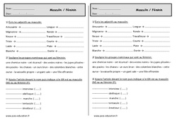 Féminin - Masculin - Exercices  : 2eme Primaire - PDF à imprimer