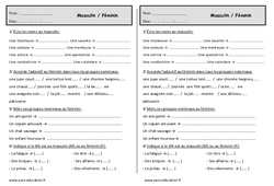 Masculin - Féminin - Exercices - Grammaire : 2eme Primaire - PDF à imprimer