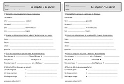 Singulier et pluriel - Exercices sur le groupe nominal : 2eme Primaire - PDF à imprimer