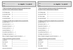 Singulier et pluriel dans le  groupe nominal - Exercices : 2eme Primaire - PDF à imprimer