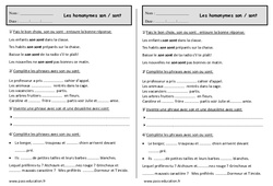 Son - sont - Homonymes - Exercices  : 2eme Primaire - PDF à imprimer