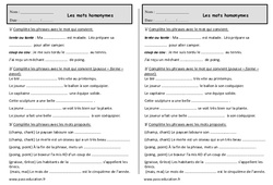 Homonyme - Exercices de vocabulaire : 2eme Primaire - PDF à imprimer
