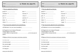 Le féminin des adjectifs - Exercices - Orthographe : 2eme Primaire - PDF à imprimer