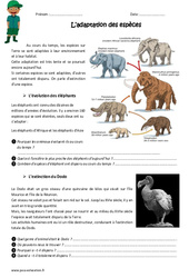 Adaptation des espèces - Exercices : 4eme, 5eme Primaire - PDF à imprimer