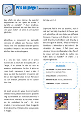Pris au piège - Super chat contre Vilmatou - Exercices - Lecture - Récit : 3eme Primaire - PDF à imprimer