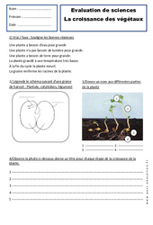 Croissance des végétaux - Examen Evaluation : 2eme Primaire - PDF à imprimer