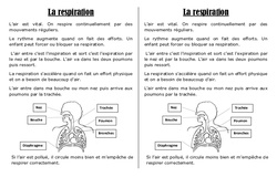 Respiration - Cours, Leçon : 2eme Primaire - PDF gratuit à imprimer