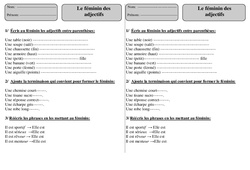 Féminin des adjectifs - Exercices 2 - Orthographe : 2eme Primaire - PDF à imprimer