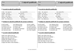 Adjectif qualificatif - Exercices Corrigés : 3eme Primaire - PDF à imprimer