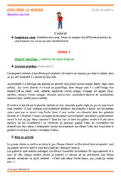 Séquence - Fiche de préparation Odorat - Séquence - Fiche de préparation : 2eme Maternelle - Cycle Fondamental - PDF à imprimer