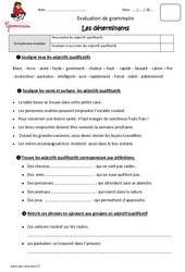 Adjectifs qualificatifs - Examen Evaluation - Bilan : 4eme Primaire - PDF à imprimer