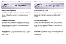 Végétaux - Trace écrite - Découverte du monde - Cours, Leçon : 1ere Primaire - PDF gratuit à imprimer