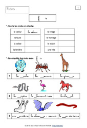 Exercice F - V - Confusion de sons - Lecture - Français : 2eme Primaire - PDF à imprimer