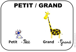 Petit - Grand - Affichages pour la classe : 1ere, 2eme, 3eme Maternelle - Cycle Fondamental - PDF à imprimer