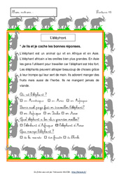 Eléphant - Lecture compréhension - Français : 1ere, 2eme Primaire - PDF à imprimer